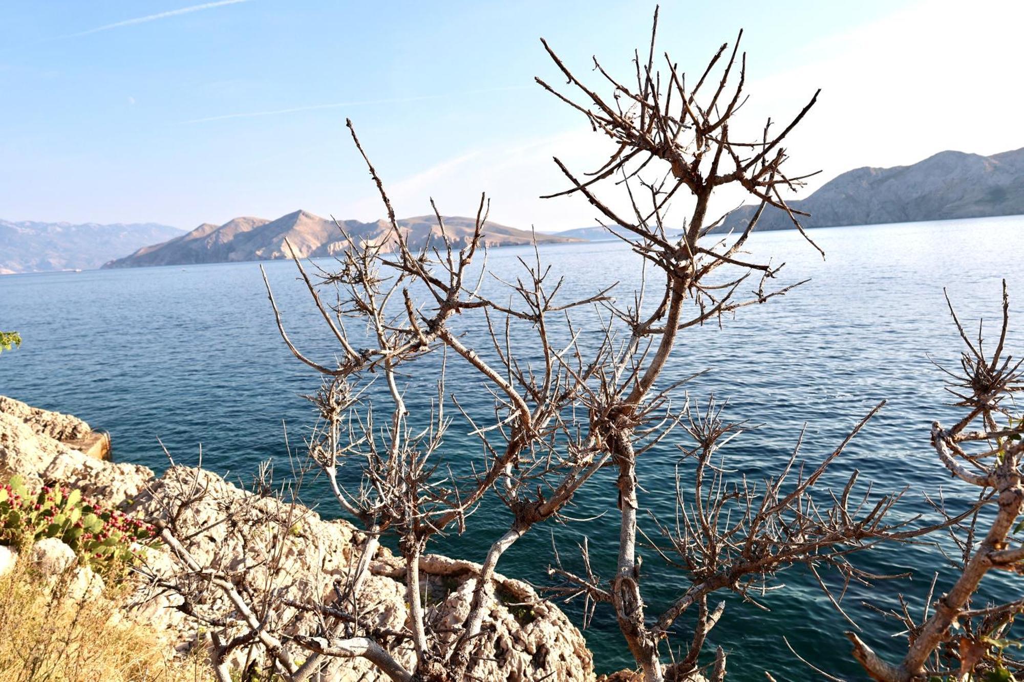 Villa Perla Baska Baška Exterior foto